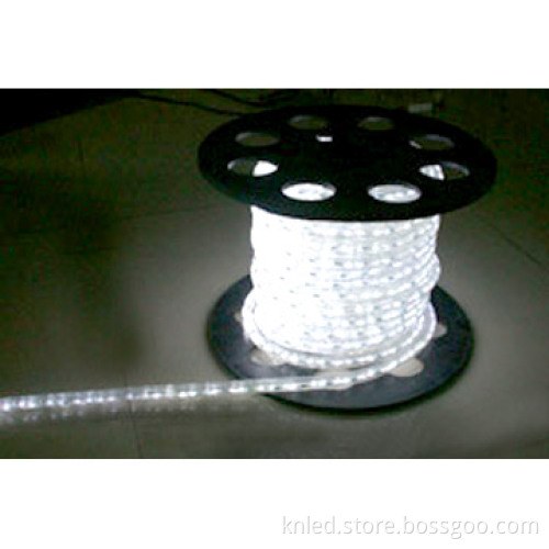 LED Rope Light